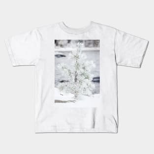 Small tree covered in snow Kids T-Shirt